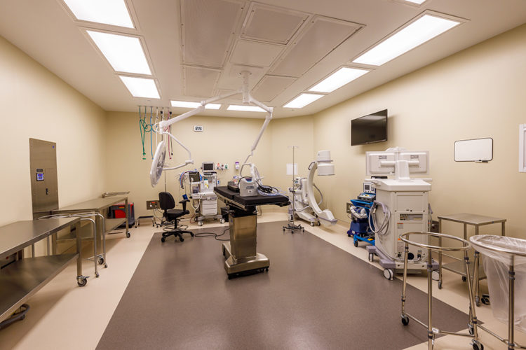 SurgCenter of Greater Jacksonville, Build-out of Ambulatory Surgery ...