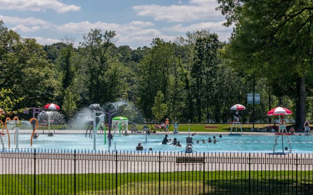 Rehabilitation of the Franklin D. Roosevelt State Park Swimming Pool and Supporting Infrastructure